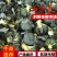 甘肃西兰花，张掖美青，耐寒