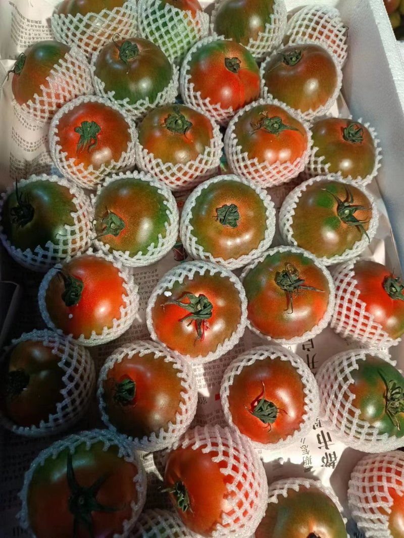 铁皮柿子大量上市中，草莓西红柿，口感更好，支持电商代发