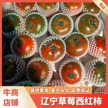 草莓西红柿，质量三包，大量上市现摘现发，支持
