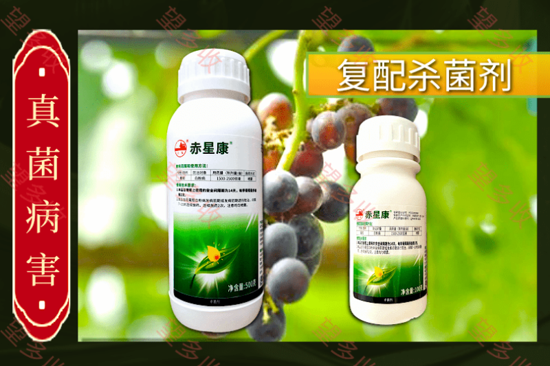 40%苯甲吡唑酯白粉病炭疽病褐斑病黑星病真菌广谱杀菌