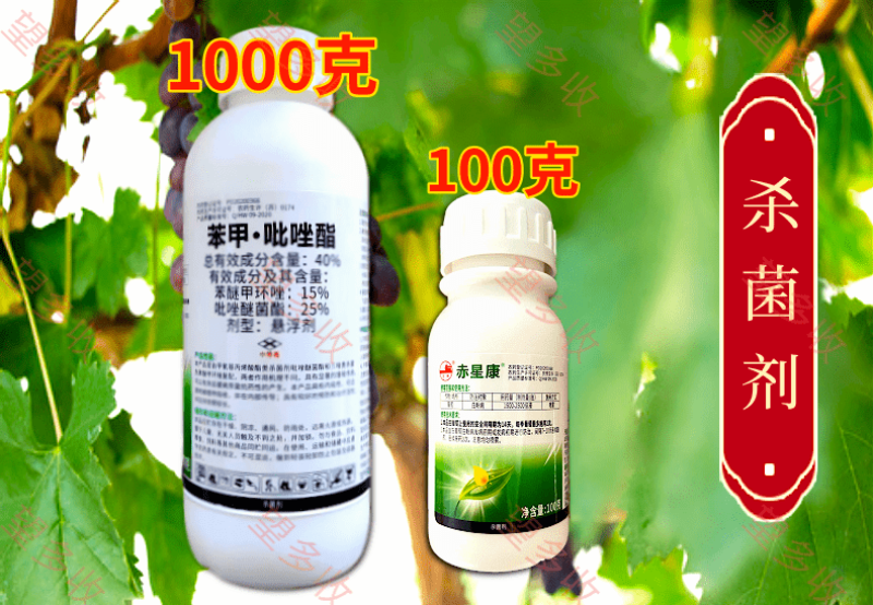 40%苯甲吡唑酯白粉病炭疽病褐斑病黑星病真菌广谱杀菌