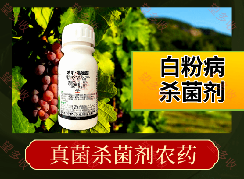 40%苯甲吡唑酯白粉病炭疽病褐斑病黑星病真菌广谱杀菌