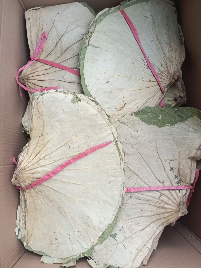 荷叶
