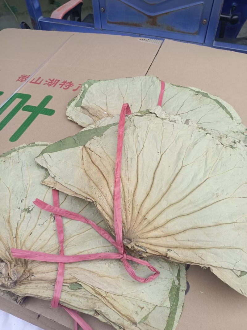 荷叶