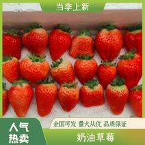 【优质】安徽闻集奶油草莓新鲜采摘果型好供电商商超