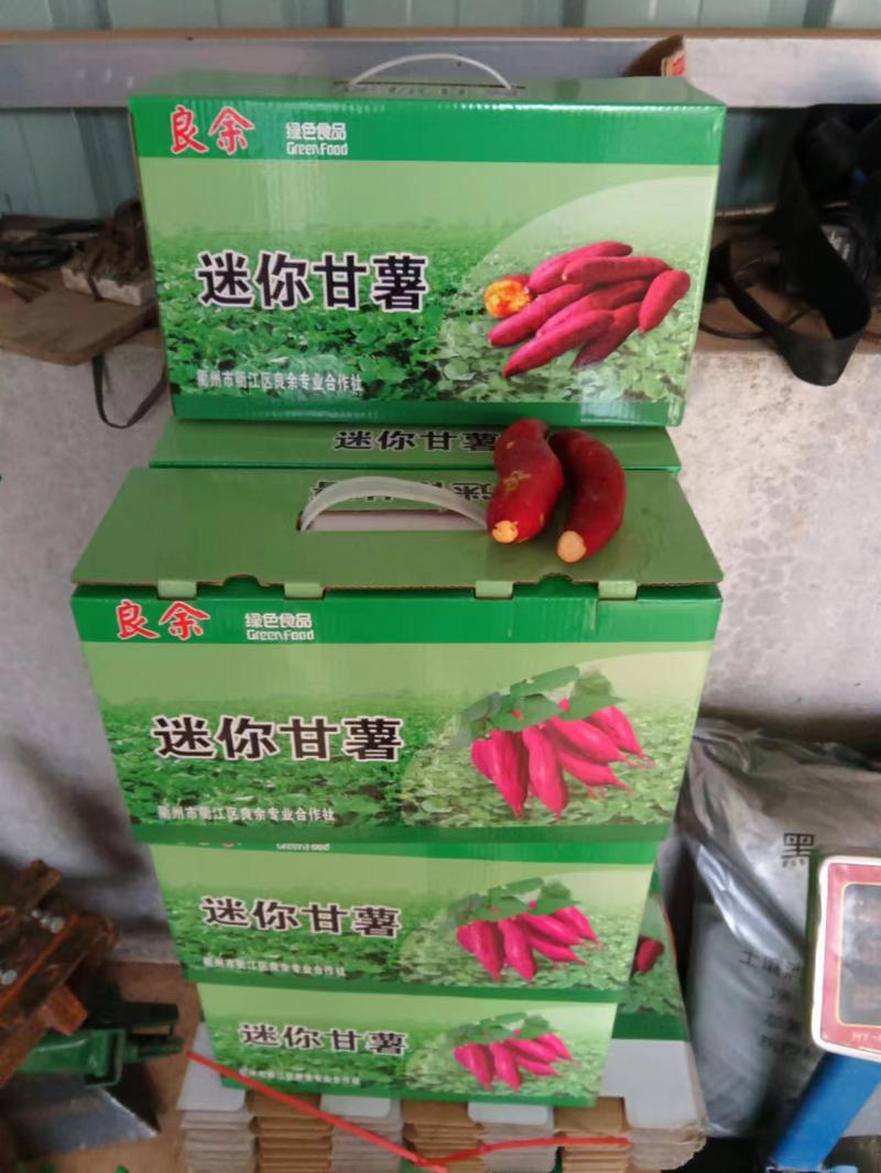 【香薯】浙江基地直供质量保证黄心红薯干面香甜欢迎订购