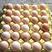 广东精品土鸡蛋大量供货自家养殖母鸡新鲜保质量大从优