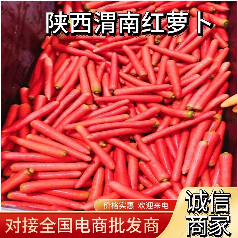 【优质】陕西大荔精品箱子水果红罗卜，大量供应，全国代发