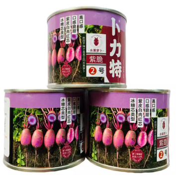 卜力特紫脆2号萝卜种子口感脆甜紫皮白肉红心水果萝卜种籽春