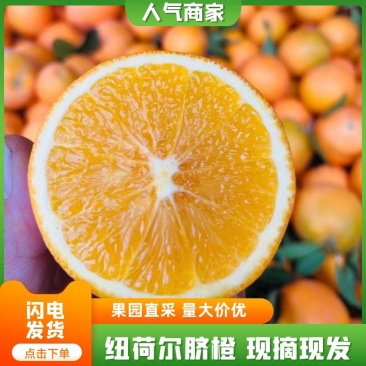 【优质】橙子/纽荷尔脐橙/湖北宜昌纽荷尔脐橙/供应电商