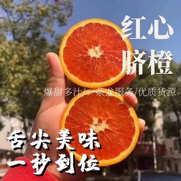 湖南红心脐橙产地直发品质保证量大从优全国发货