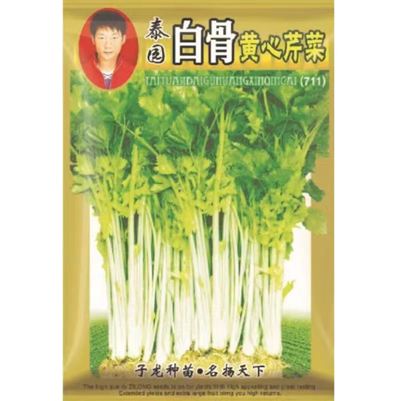 泰国黄心芹菜种子白骨黄心大叶芹菜小香芹种子春秋大田蔬菜种