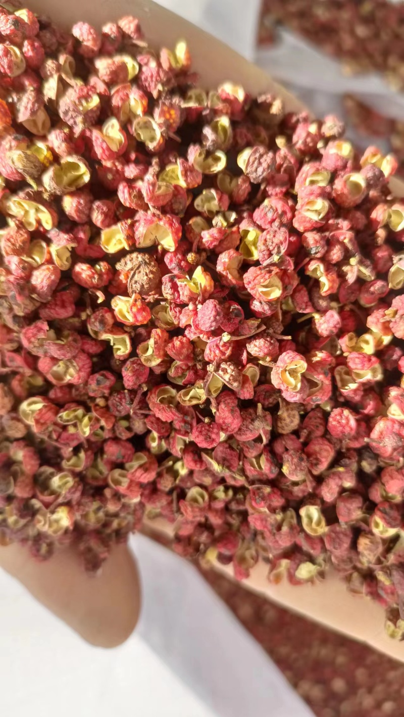 富平精品大红袍花椒，鲜红光艳，肉细均匀，味麻而香，身干子少。