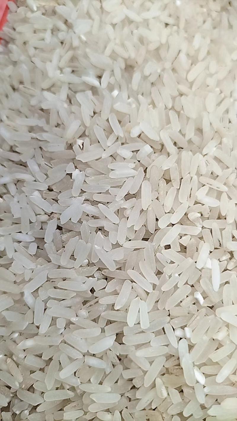 软粘大米谷类作物厂家直发散米量大从优广东清远大米电话议价
