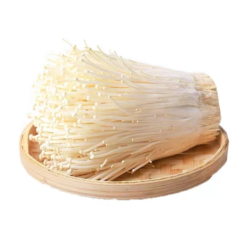 鲜金针菇/安徽合肥鲜金针菇/产地直发品质好自家工厂