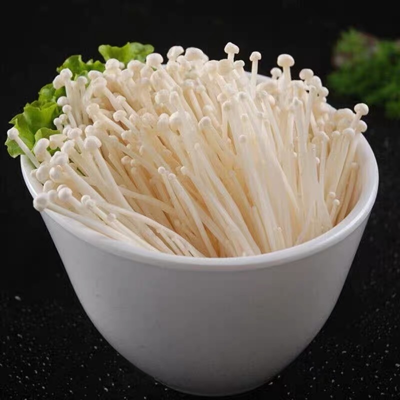 鲜金针菇/安徽合肥鲜金针菇/产地直发品质好自家工厂