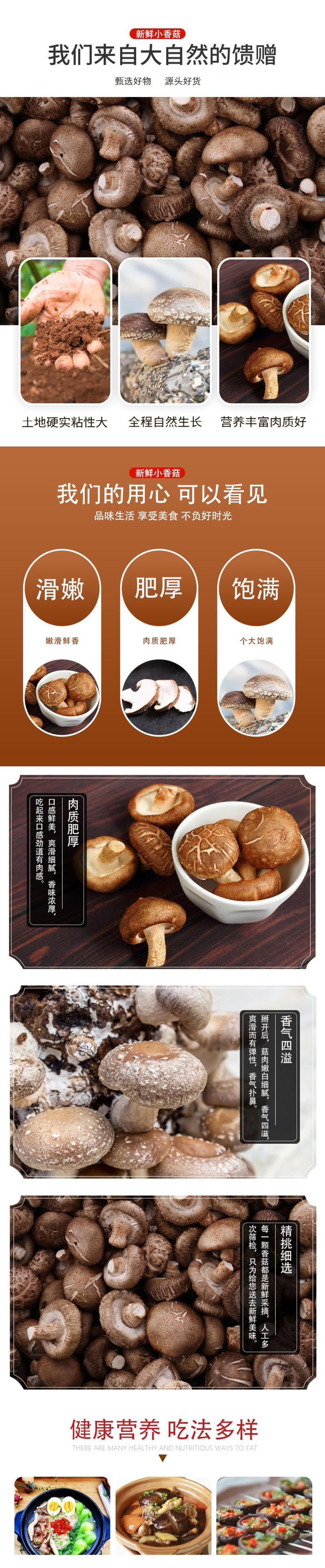 鲜香菇安徽合肥鲜香菇/产地直发品质好需要的老板联系