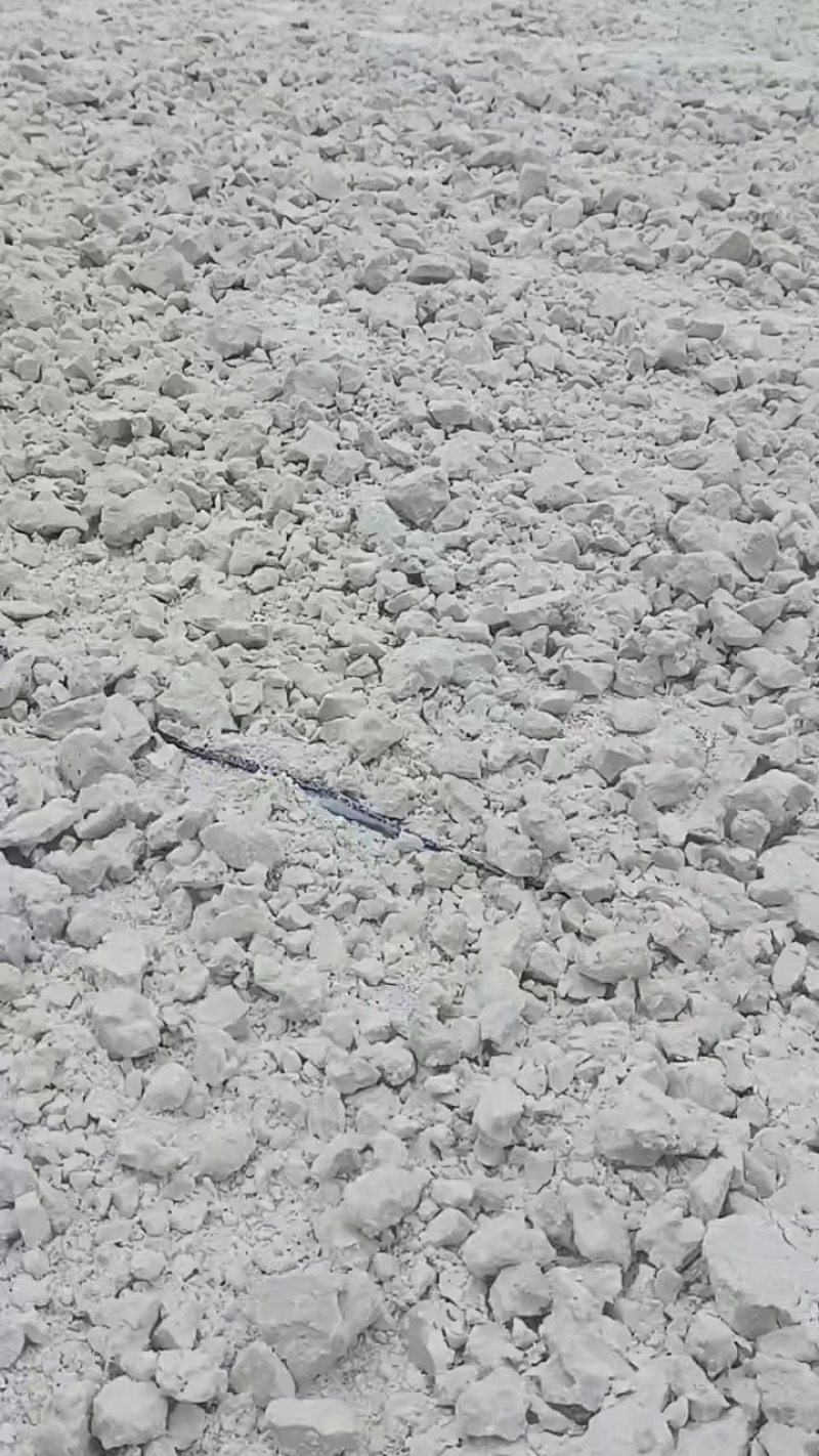 精品红薯淀粉大量上市诚信经营一手货源品质保证欢迎来电采购