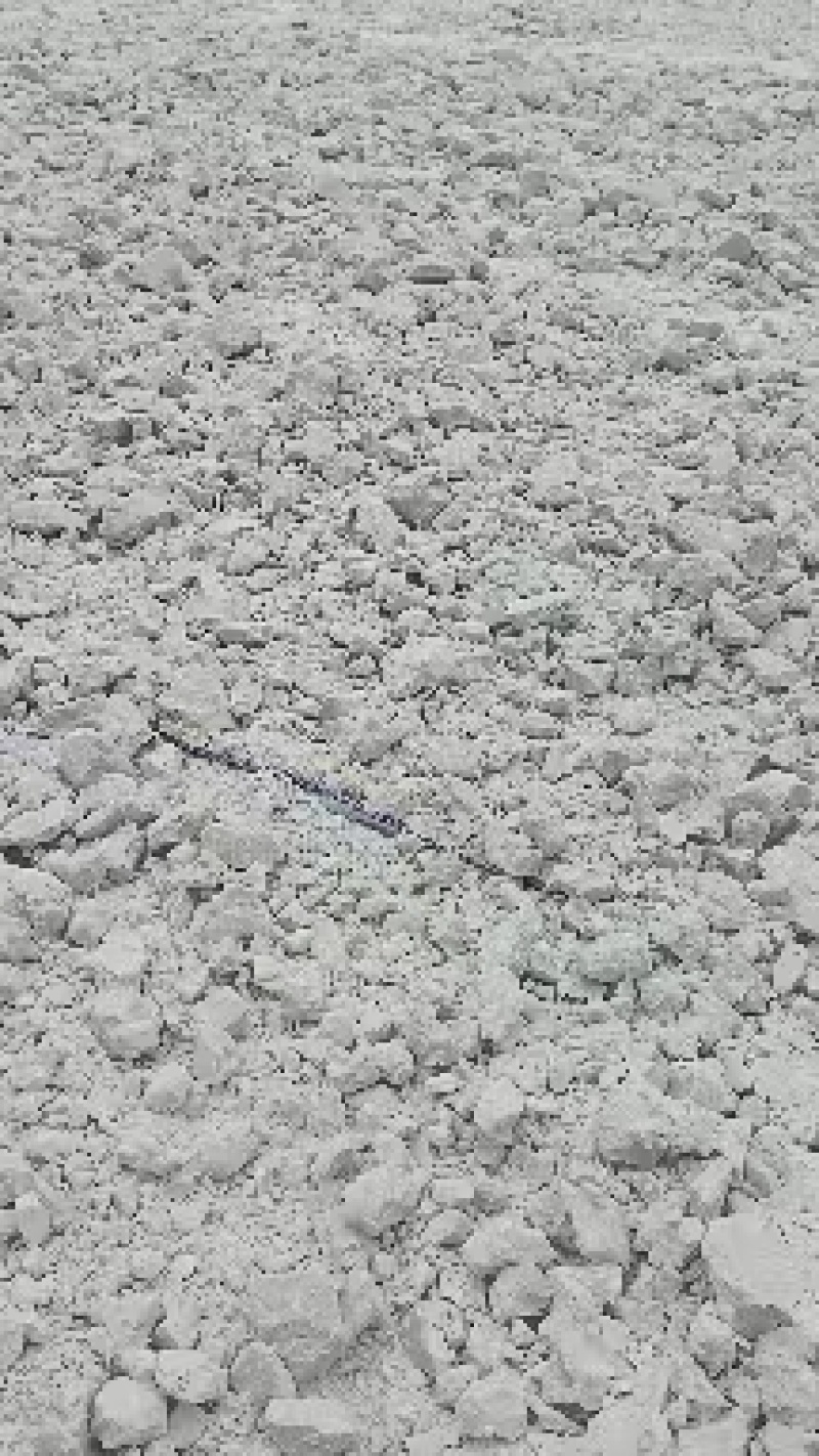 精品红薯淀粉大量上市诚信经营一手货源品质保证欢迎来电采购
