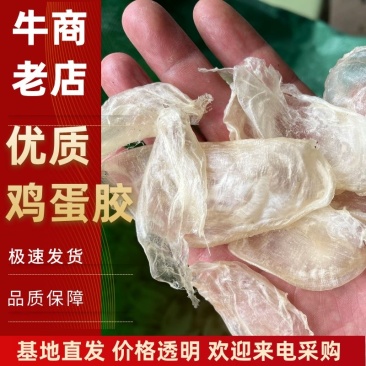优质鱼泡鸡蛋胶大量上市诚信经营品质保证一手货源欢迎来电
