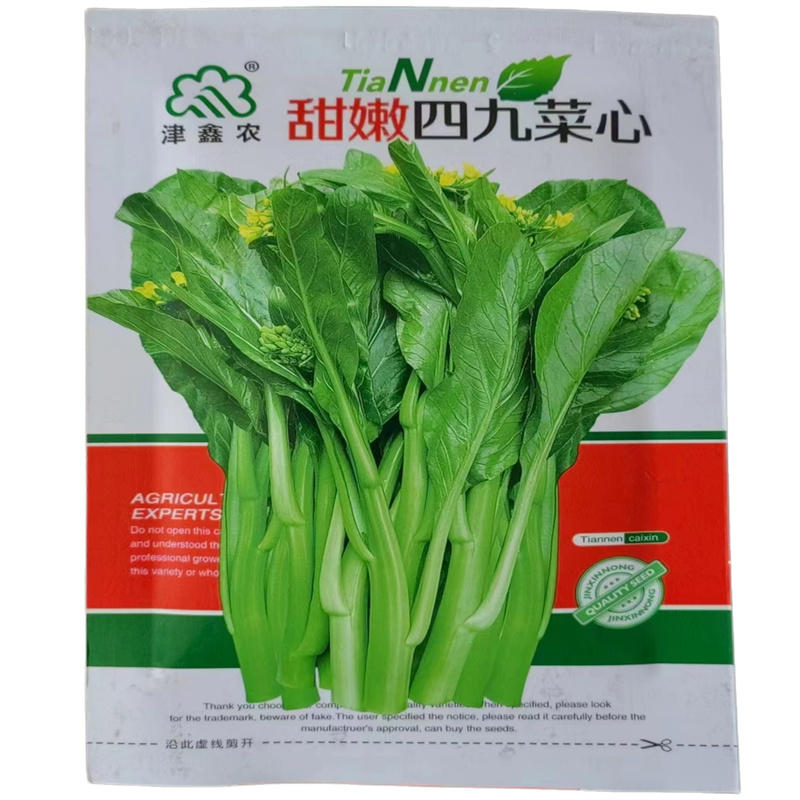 四九甜菜心种子广东菜苔甜菜心种子绿油亮发芽高