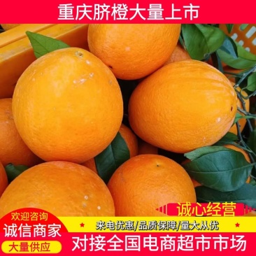 奉节脐橙重庆奉节长虹脐橙纯甜化渣价格优欢迎咨询