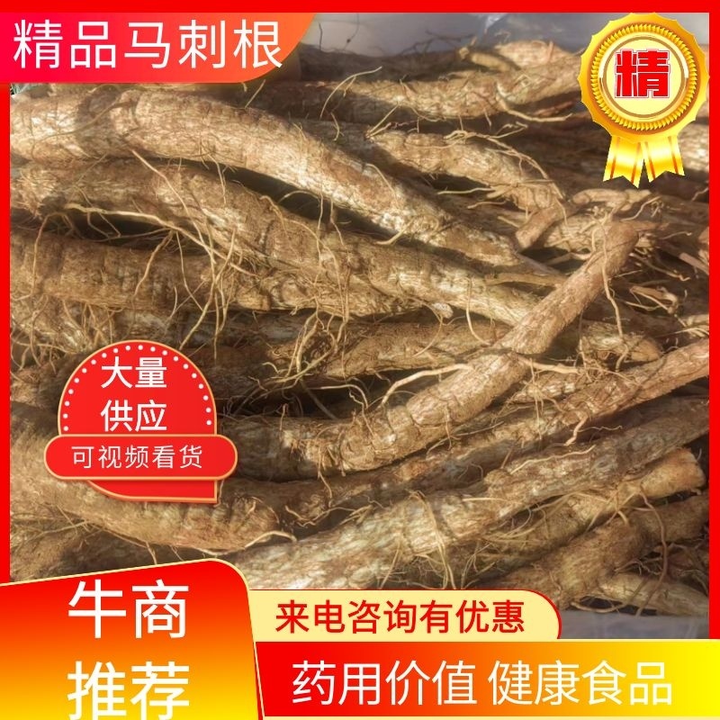 马刺根现挖现发种植基地量大从优品质保证欢迎现场参观