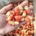 莱克代理精品虾尾纯干虾尾品质好欢迎咨询大量供货