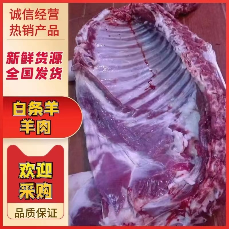 成品肉卷/包邮/达茂草原羊优质新鲜羊肉，活羊现杀