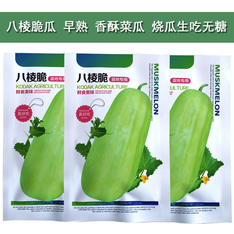 菜瓜种子脆瓜籽水菜瓜老品种八棱脆菜瓜四季播种