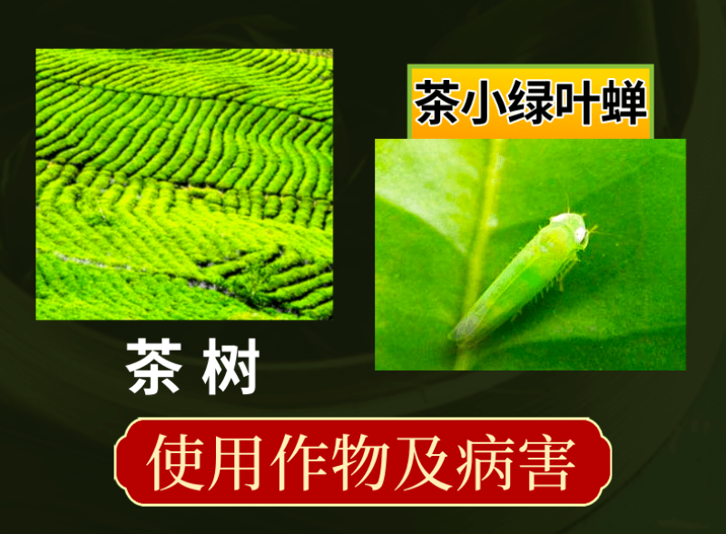 22%噻虫高氯氟蚜虫菜青虫茶小绿叶蝉地上地下广谱杀虫