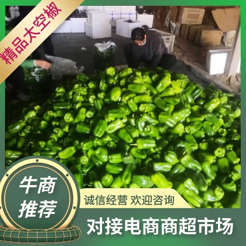 山东精品太空椒大量上市实力团队量大从优诚信经营