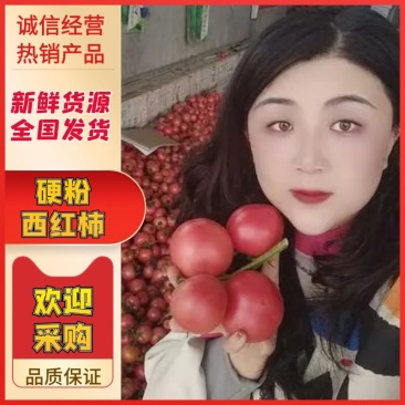 {优选}费县硬粉西红柿，暖棚硬粉果型好，硬度高耐运输，产