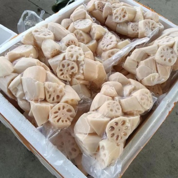 工厂直供湖北精品真空藕货源充足可持续供货欢迎咨询