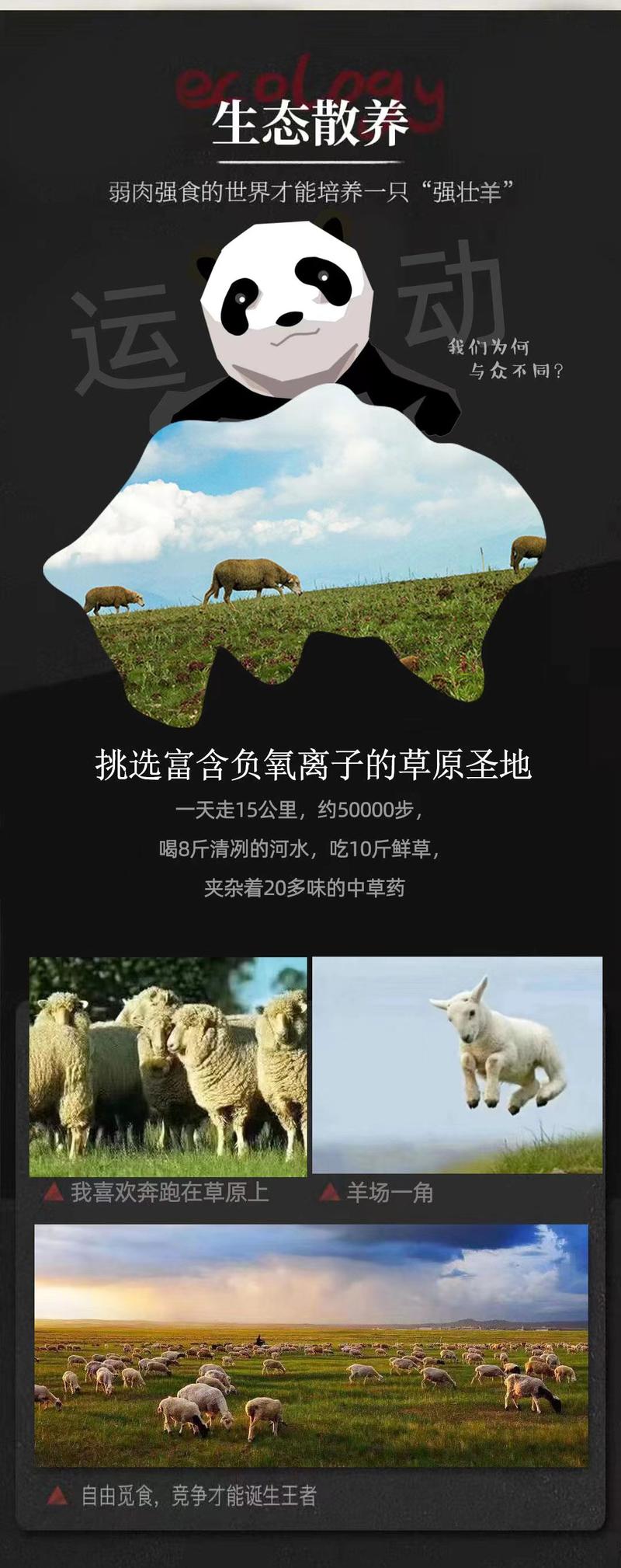羔羊全羊品质保证产地直发可视频看货欢迎咨询