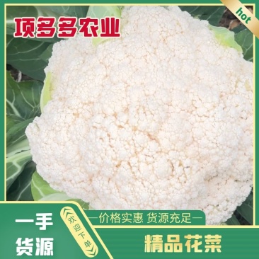 【优质】花菜散装，包装，品质保证供应全国大量出售