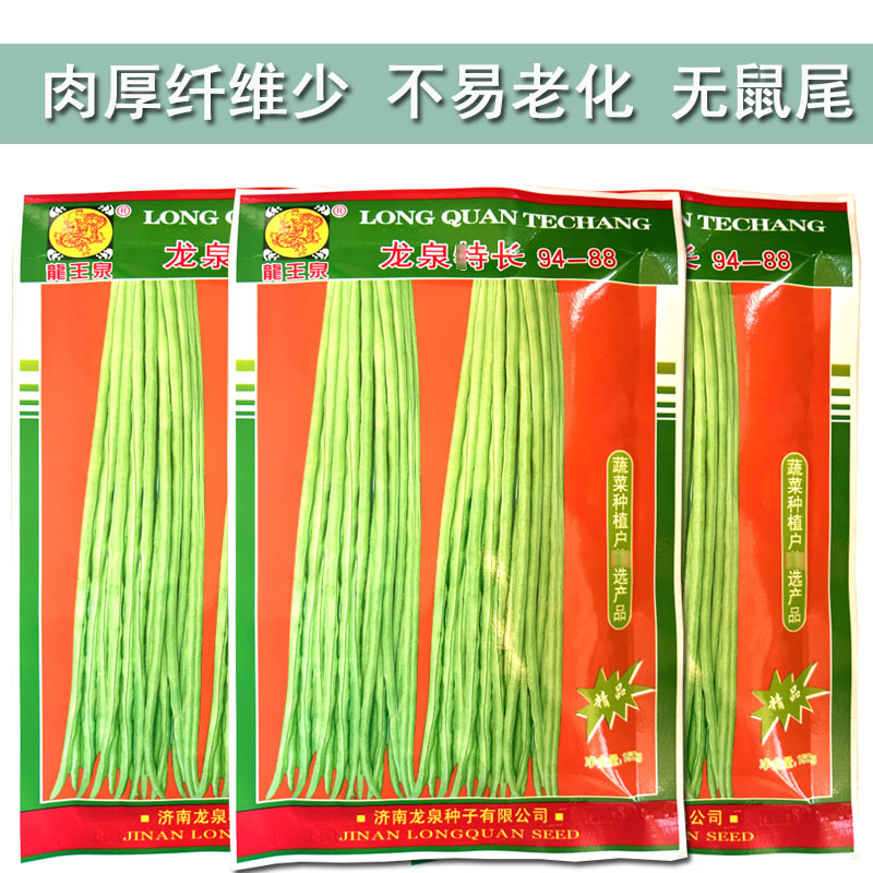 豇豆种子龙泉特长94翠绿色荚肉厚顺直80厘米长产量高抗病