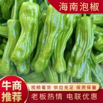 泡椒海南鲜辣椒规格齐全一手货源大量供应欢迎电联咨询