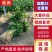 红薯苗蜜薯苗冷棚脱毒苗小拱棚全面晾晒成活率高