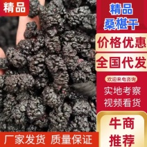 【推荐】桑椹干，厂家发货，价格优惠，欢迎来电咨询洽谈