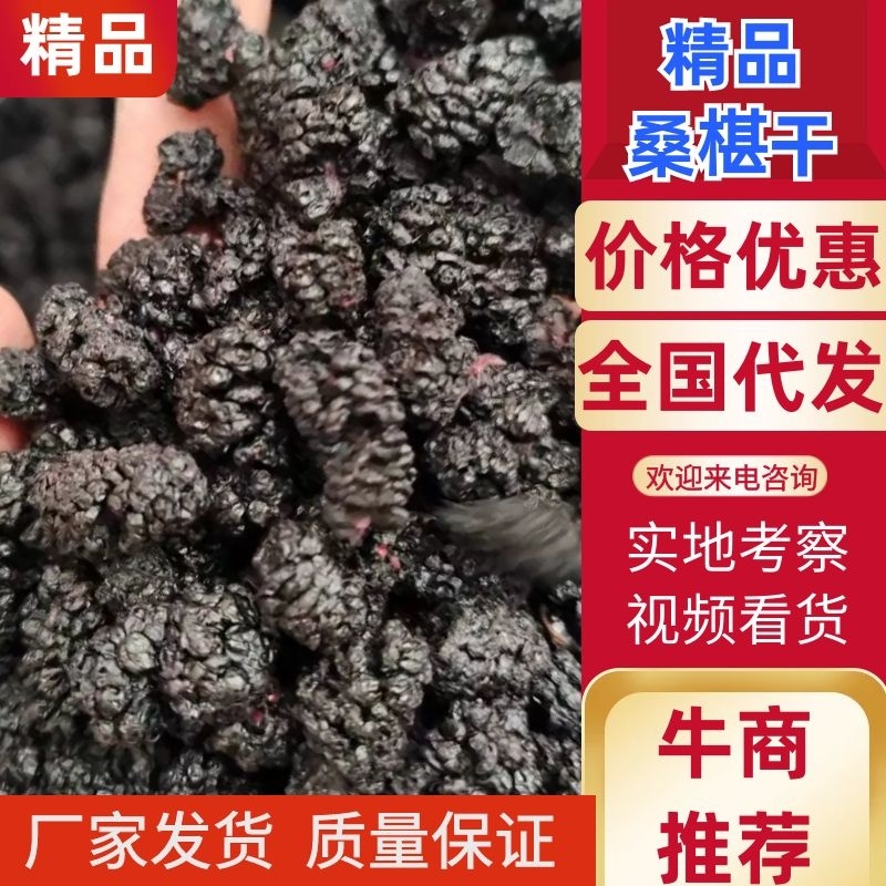 【推荐】桑椹干，厂家发货，价格优惠，欢迎来电咨询洽谈