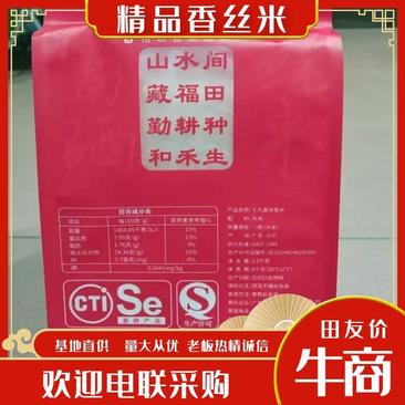 广东精品香米大米19香丝苗米品质保证量大从优欢迎联