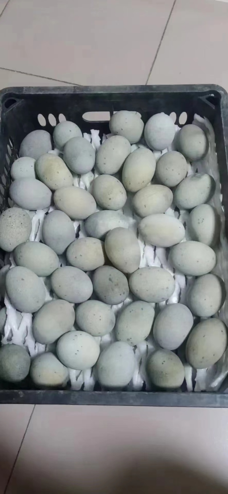 精品松花蛋礼品盒包装山东基地全国发货规格多样可定制