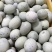 精品松花蛋礼品盒包装山东基地全国发货规格多样可定制