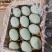 精品松花蛋礼品盒包装山东基地全国发货规格多样可定制