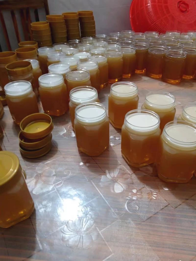 纯正鸭脚木蜂蜜大量供应保质保量自家养殖甜蜜健康