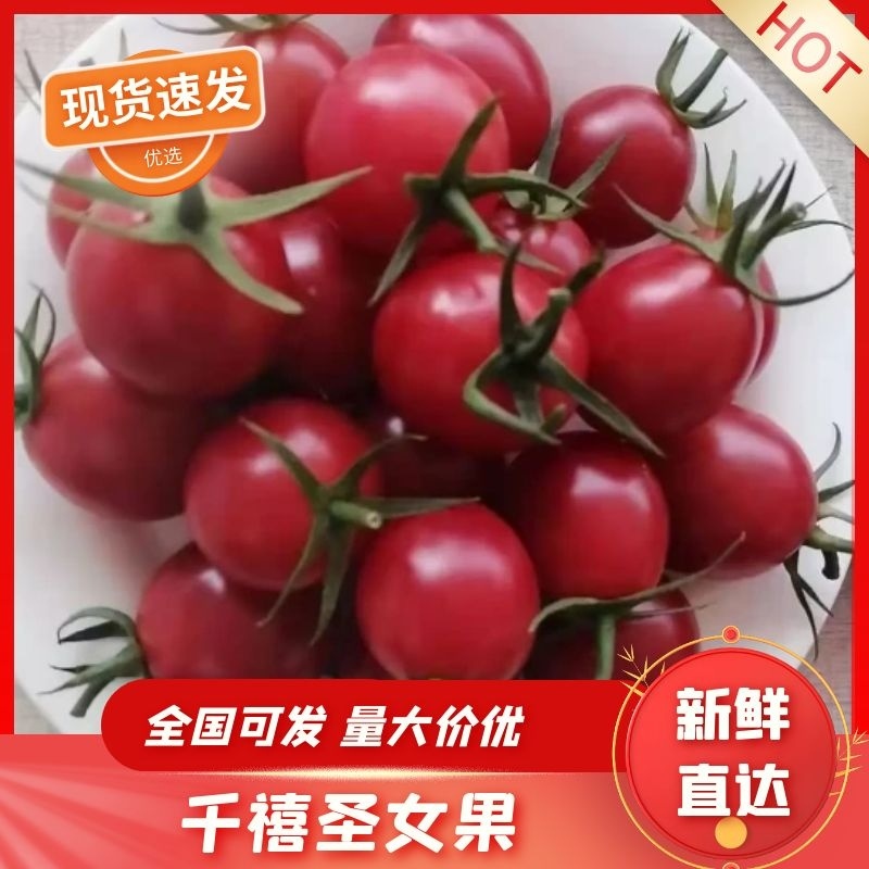【实力商家】广东电白区精品千禧圣女果一手货源代发全国