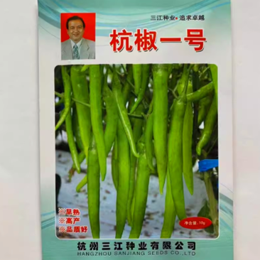 杭椒一号辣椒种子，杭椒1号，早熟尖椒，辣味中等，基地专用