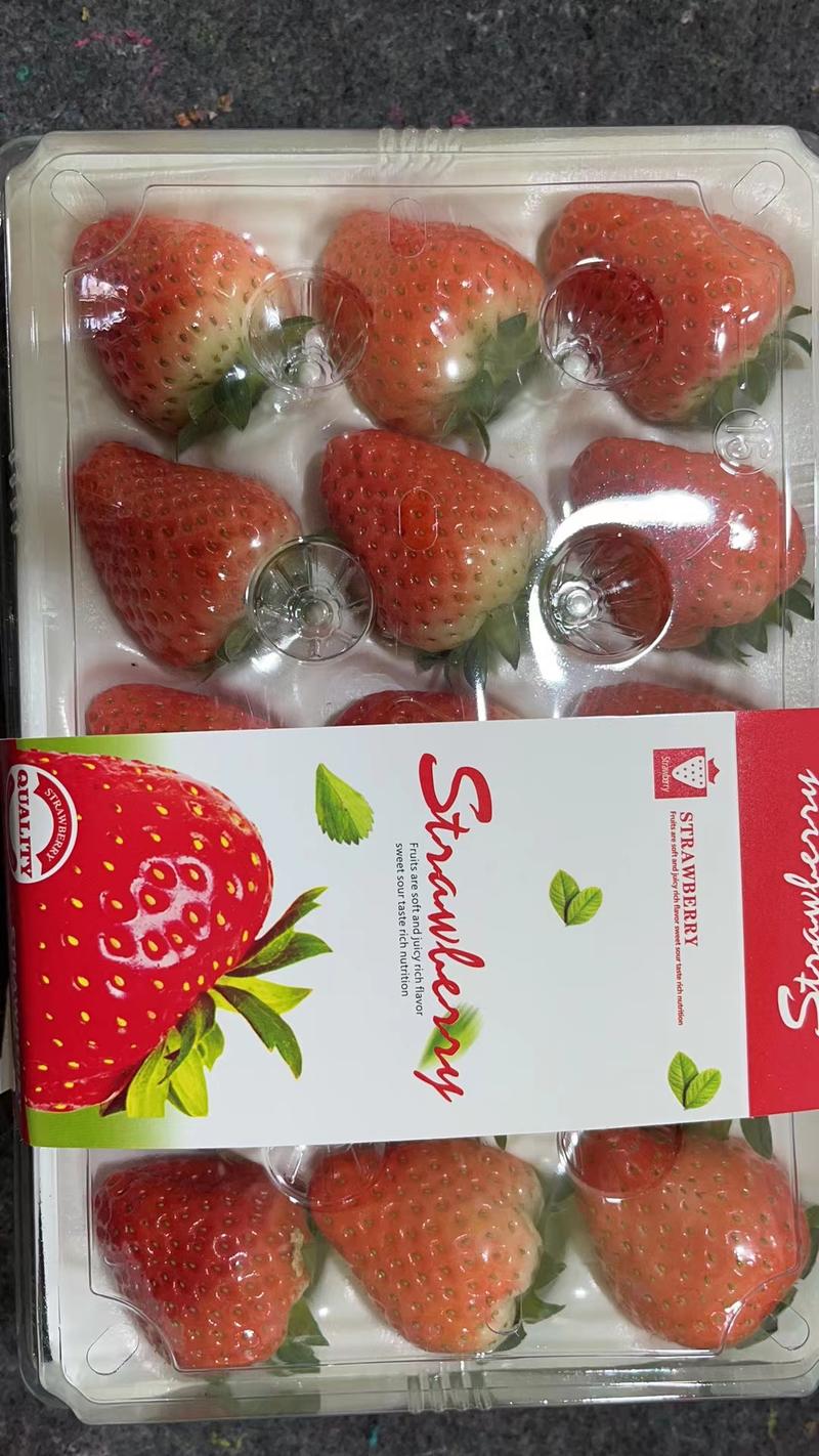 妙香草莓江苏草莓基地现摘现发甜润可口电联采购