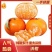 【沃柑】皇帝柑广东产地直供代发全国市场茂谷柑出货量巨大电联